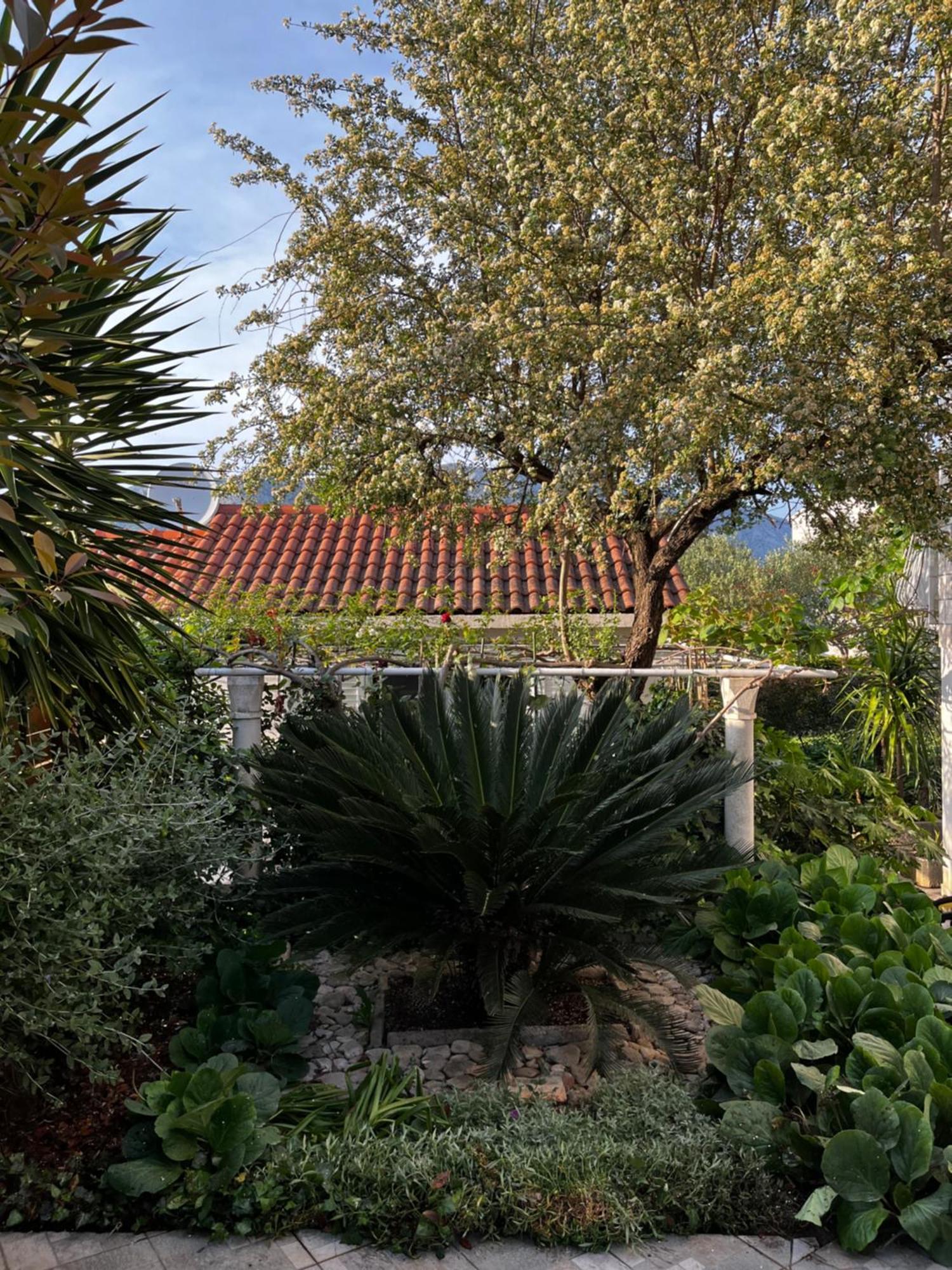 Tianri Apartamento Korčula Exterior foto