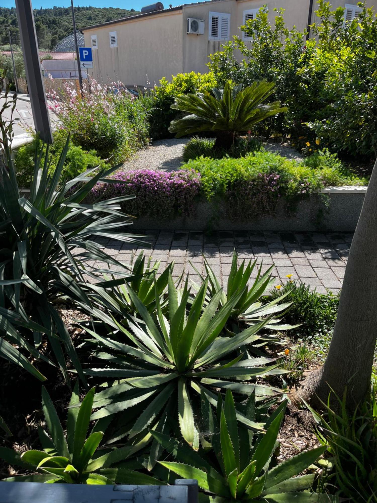 Tianri Apartamento Korčula Exterior foto