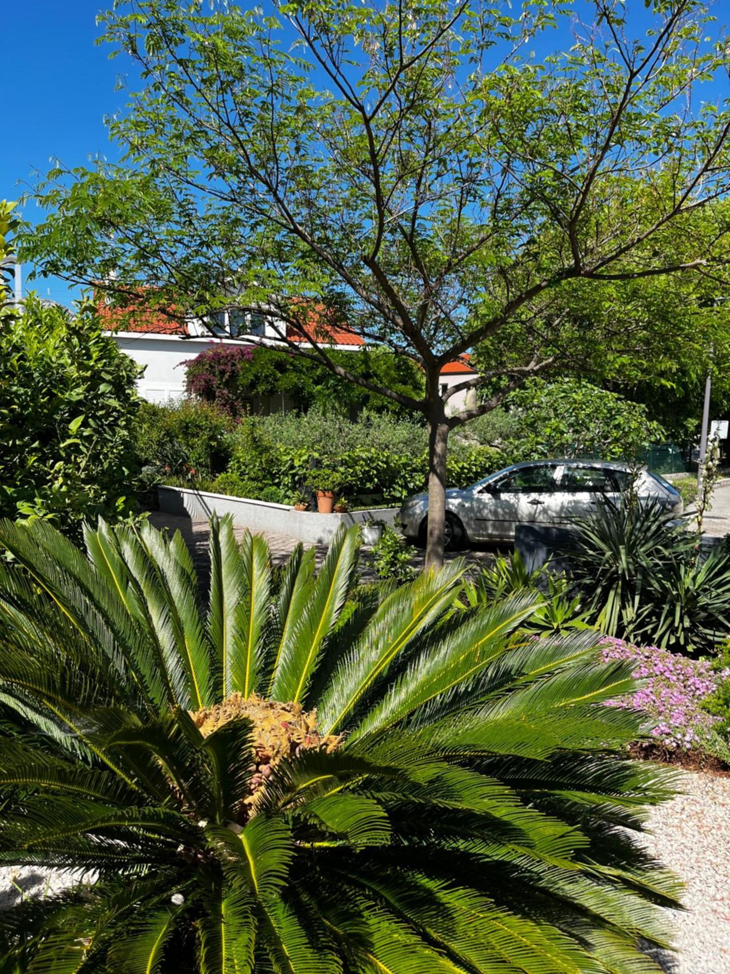 Tianri Apartamento Korčula Exterior foto
